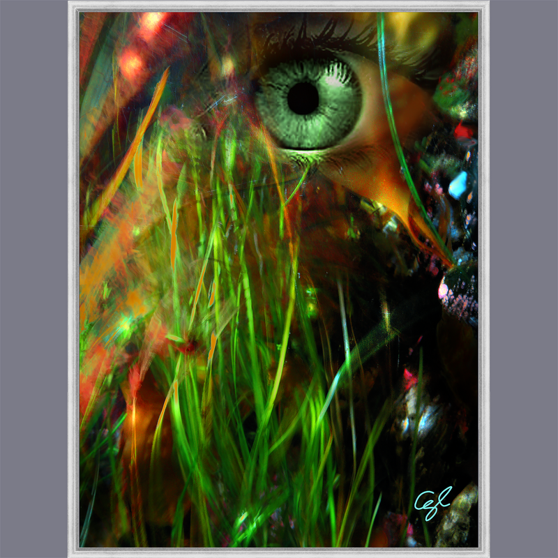 BeautDoozy Wall Art INNERVIEW Giclée from the Inner Series