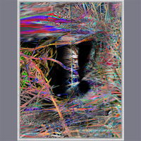 BeautDoozy Wall Art SECRET Giclée from The Inner Series