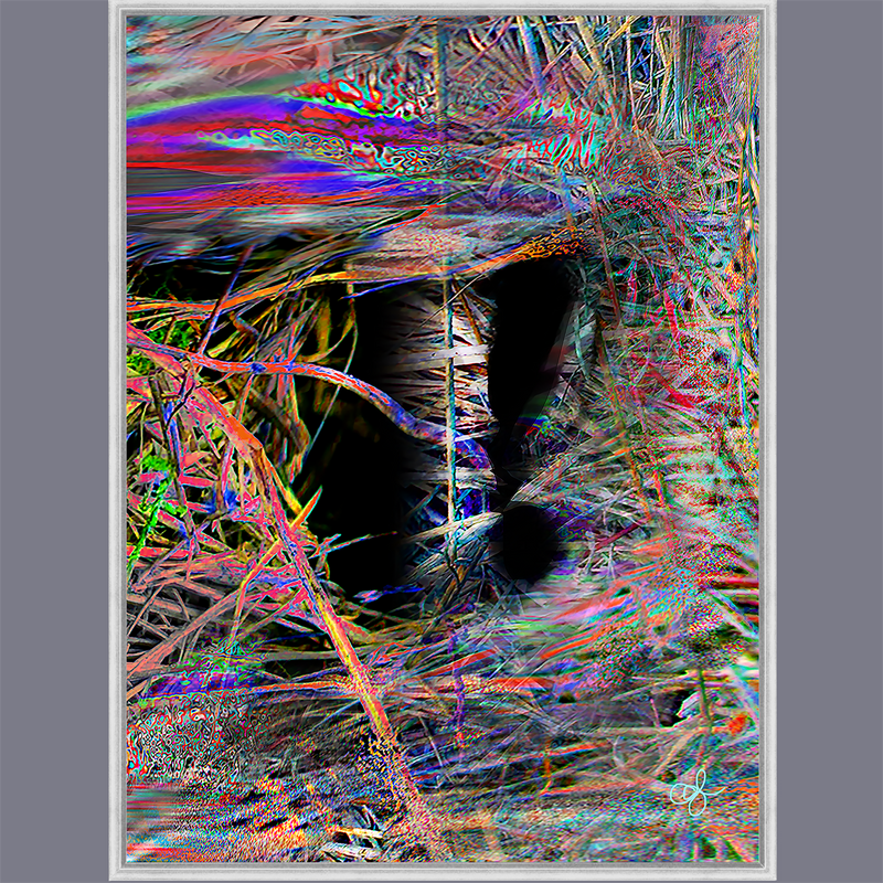 BeautDoozy Wall Art SECRET Giclée from The Inner Series