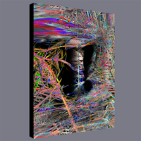 BeautDoozy Wall Art SECRET Giclée from The Inner Series - Wrapped canvas with gallery sides